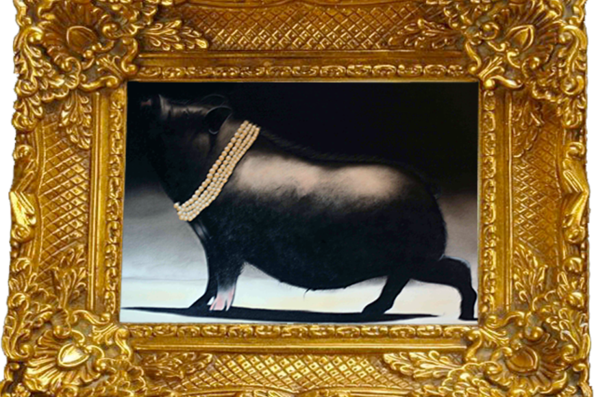 Large_pigframe