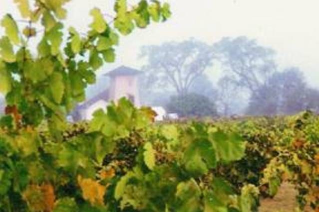 Medium_david_fulton_vineyard