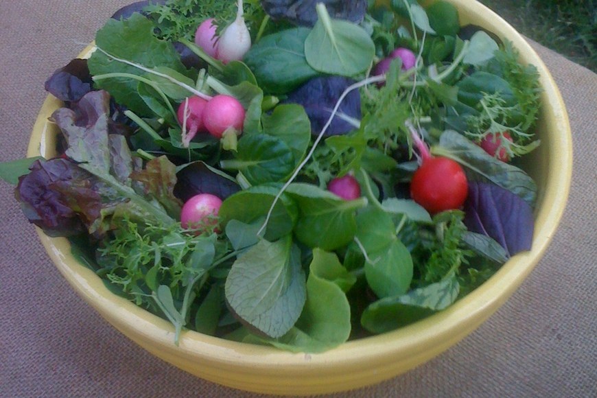 Large_queens_farm_dinner_may_2010_067