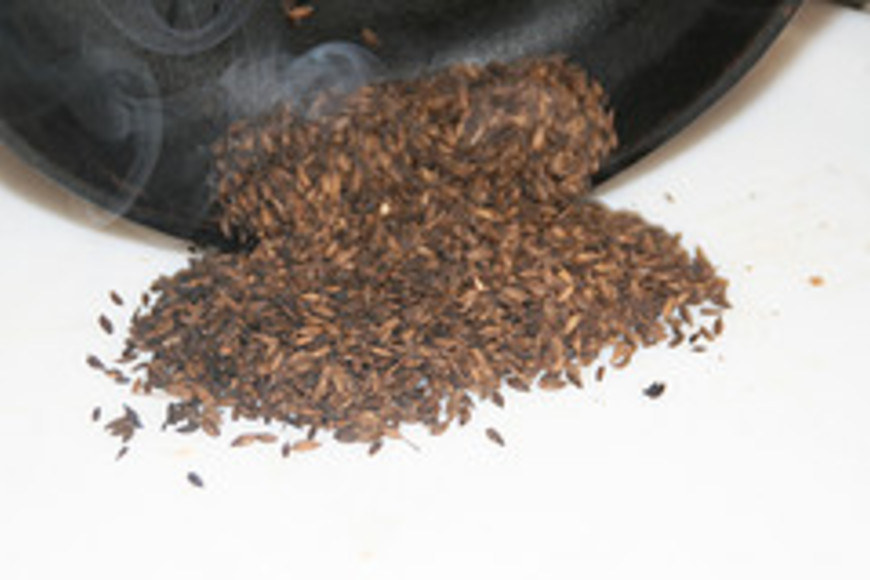 Large_cumin