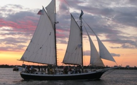 Golden_medium_freda_b_sunset