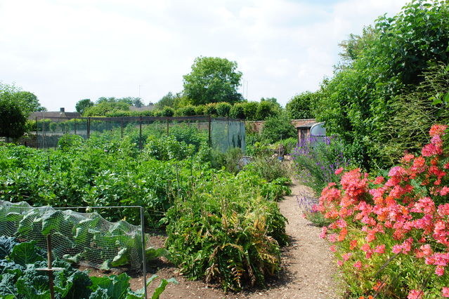 Medium_dsc_0646