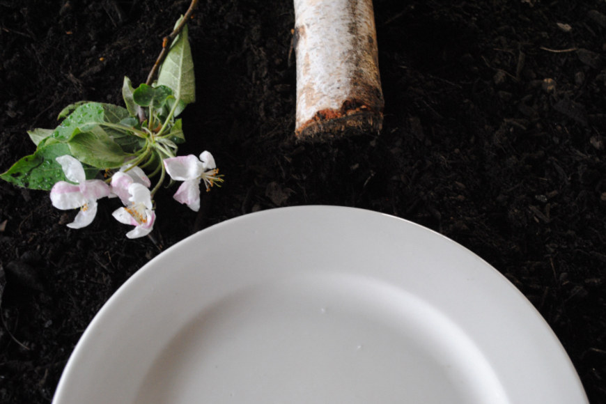 Large_plate