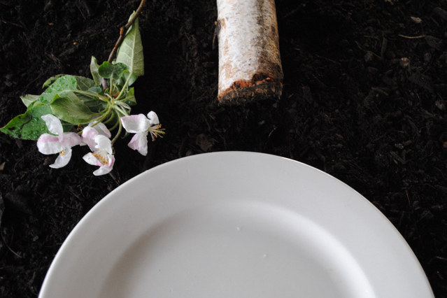 Medium_plate