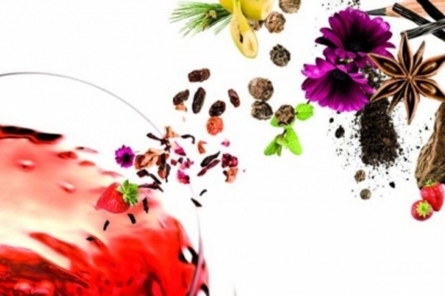 Large_100329_aromas_20de_20vino_1_