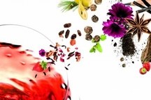 Small_100329_aromas_20de_20vino_1_