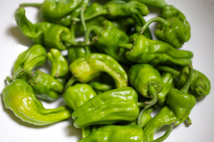 Large_-3