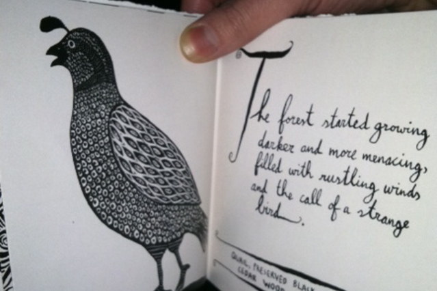 Medium_photo_2
