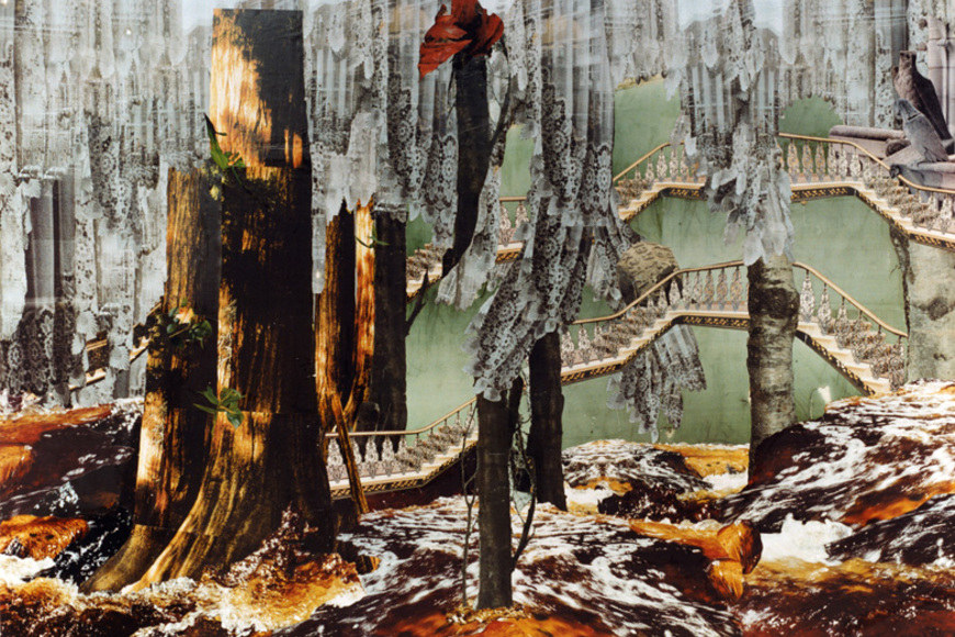 Large_14_on-a-limb_v2