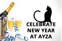 Small_nye