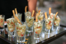 Small_ceviche_shooter