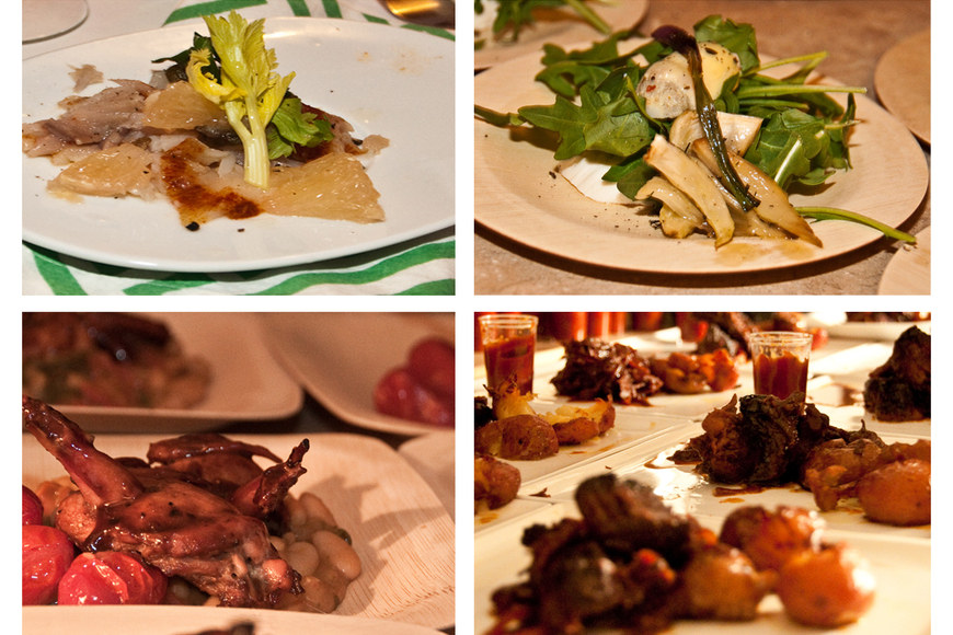 Large_primavera_courses